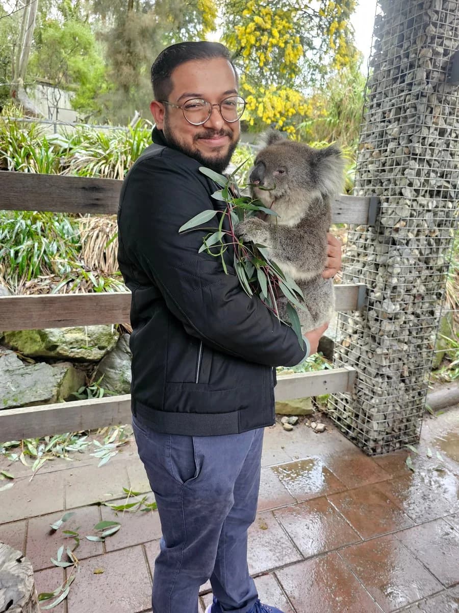 Ashish smiling while holding a koala eating eucalyptus leaves.